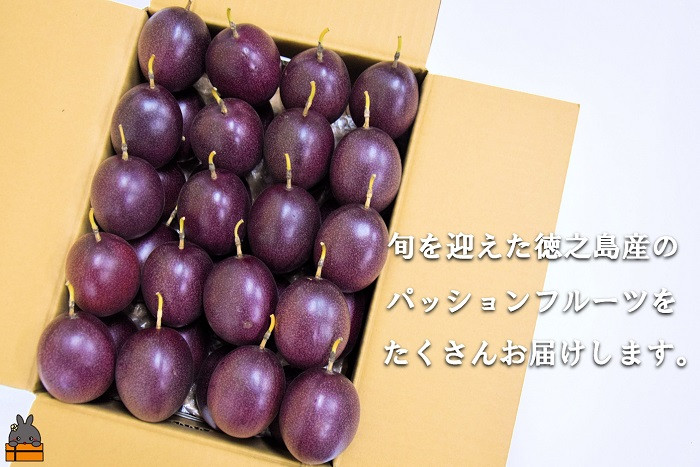大好きなパッションフルーツをたくさん食べたい！！3kg箱でお届けします。