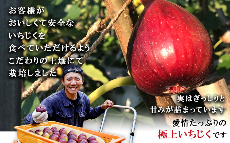 美味しい無花果をお届けするために こだわりの土壌にて栽培。