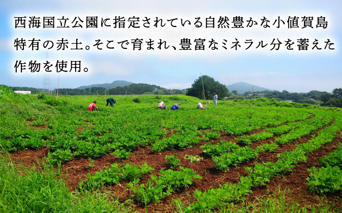 落花生 ピーナツ 小値賀