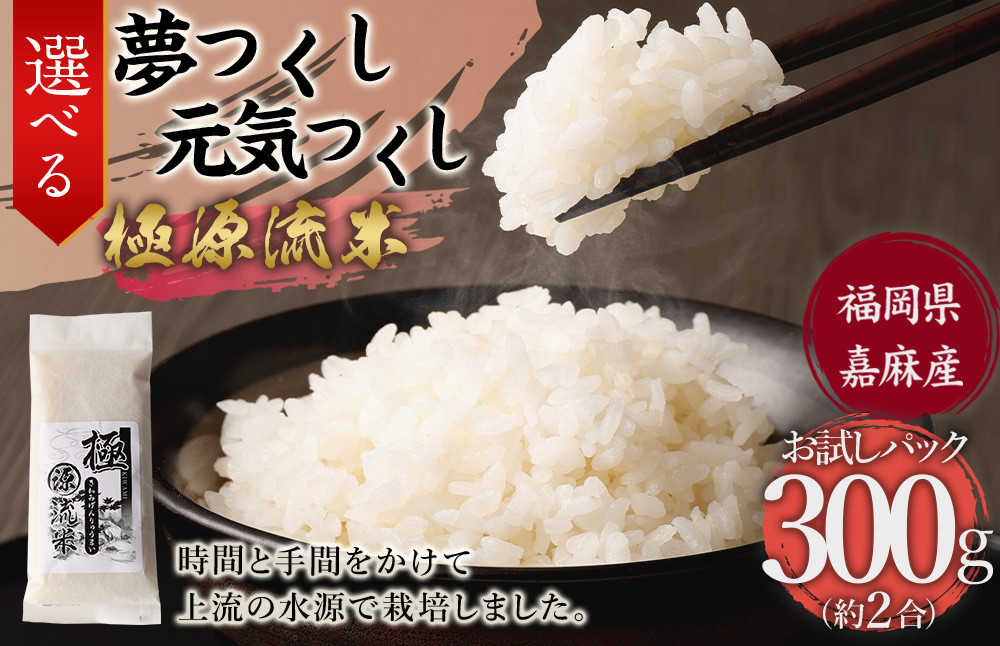 極源流米 お試し パック 約300g