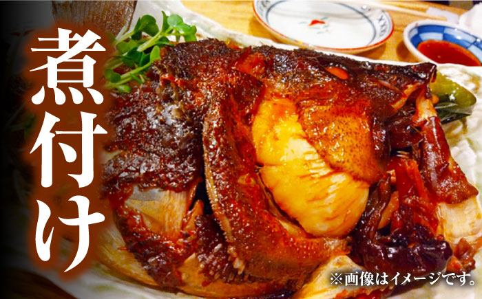 なべ くえ 鍋セット 海の幸 クエ 下処理 冷凍 新鮮 小分け 海産物 からあげ てんぷら 煮付け くえ鍋 クエ鍋 白身 切り身