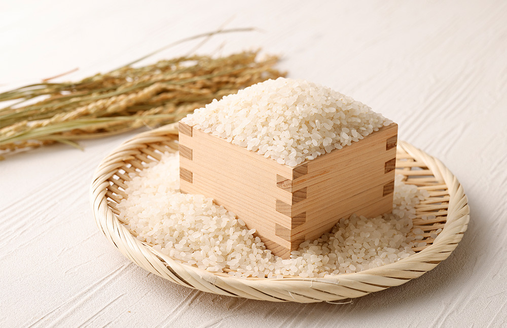 極源流米 お試し パック 約300g