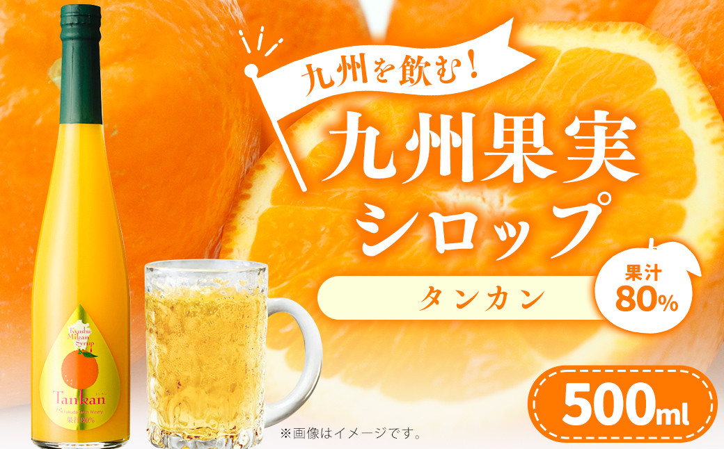 九州を飲む!九州果実シロップ タンカン