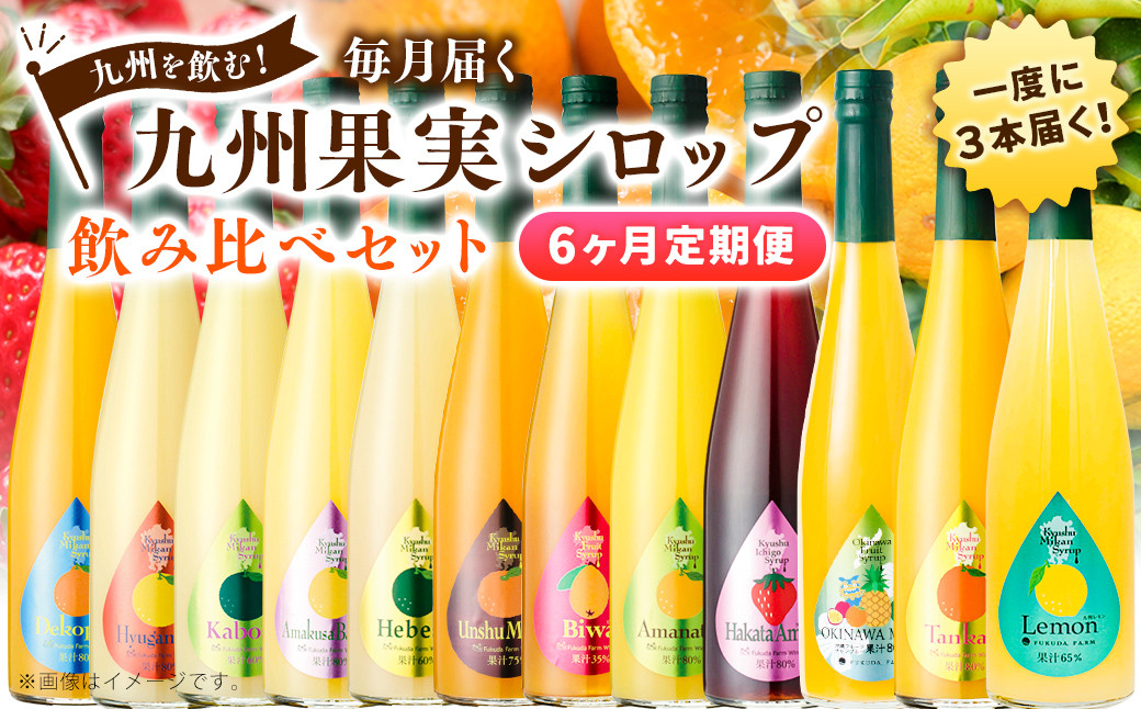 【6ヶ月定期便】九州を飲む!毎月届く九州果実シロップ飲み比べセット