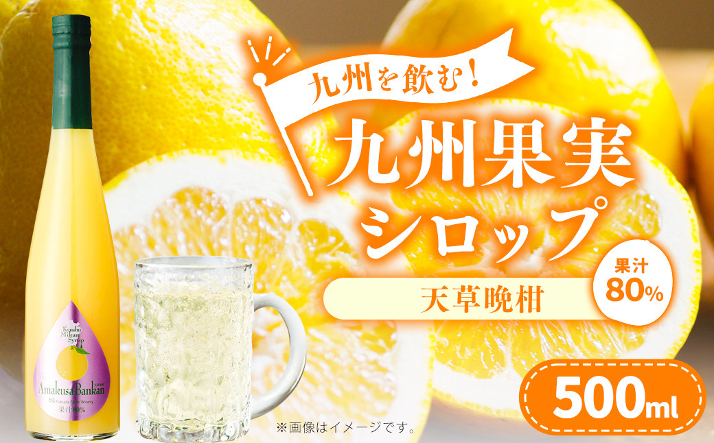 九州を飲む!九州果実シロップ 天草晩柑
