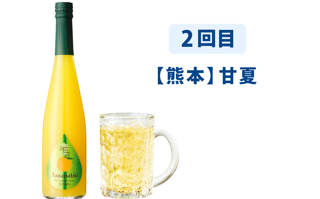 【6ヶ月定期便】九州を飲む!毎月届く九州果実シロップ