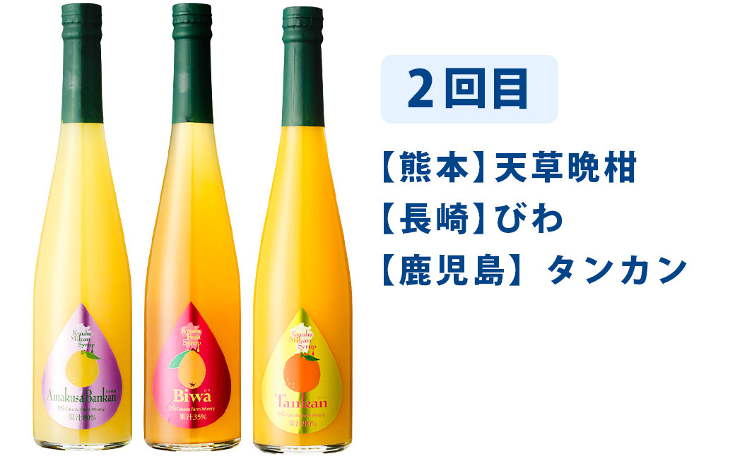 【3ヶ月定期便】九州を飲む!毎月届く九州果実シロップ飲み比べセット