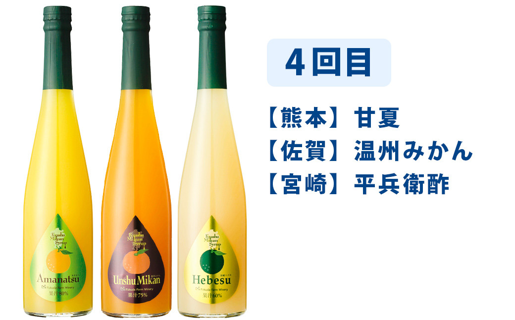【6ヶ月定期便】九州を飲む!毎月届く九州果実シロップ飲み比べセット