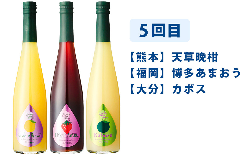 【6ヶ月定期便】九州を飲む!毎月届く九州果実シロップ飲み比べセット