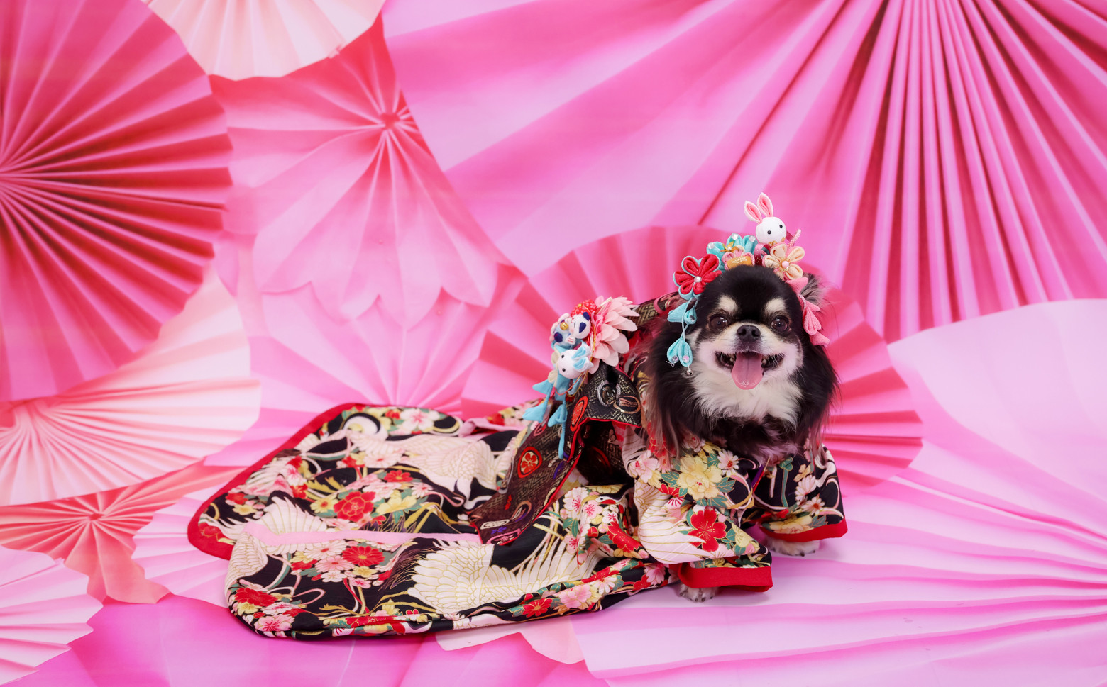 写真はイメージです。※セット内容に含まれていない飾りはついておりません。
