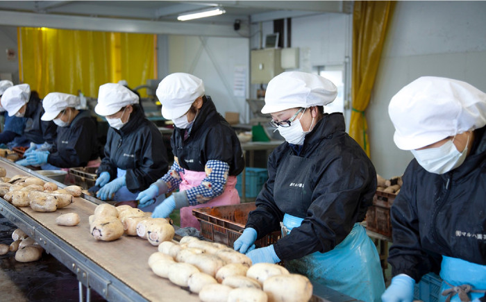 れんこん尽くしの詰め合わせ！