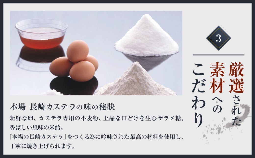 【6ヶ月定期便】長崎カステラ0.5号(290g)2本入り
