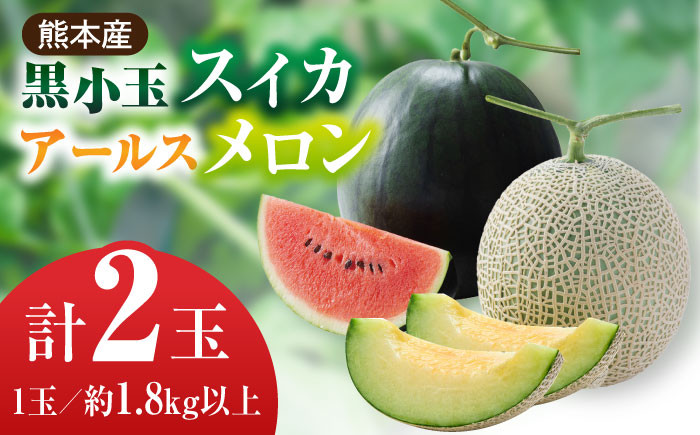 小玉 スイカ メロン セット 旬 果物 フルーツ ギフト ブランド 人気 新鮮 産地直送 甘い 一番果 熊本県 山鹿市