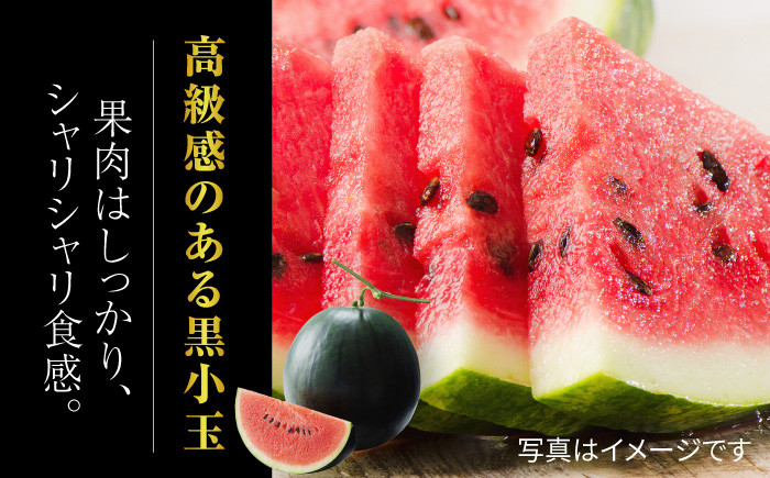 小玉 スイカ メロン セット 旬 果物 フルーツ ギフト ブランド 人気 新鮮 産地直送 甘い 一番果 熊本県 山鹿市