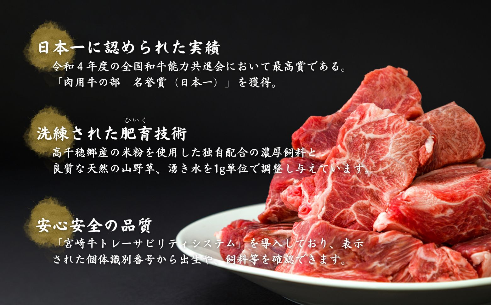 T-5【12ヶ月定期便】 高千穂牛 すね肉 400g×2パック×12回