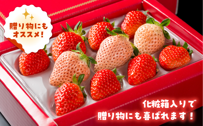 赤・白のいちごを食べ比べ！