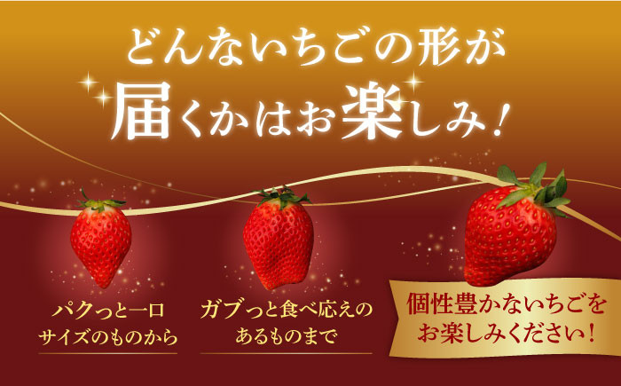全国で唯一 の超希少品種!メディアで多数紹介されています!