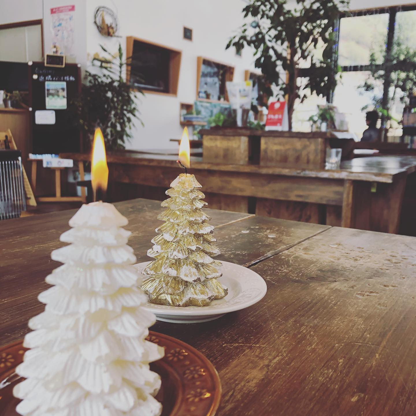 森に囲まれ、ゆっくりと過ごせるカフェ「ラムネmilk堂」