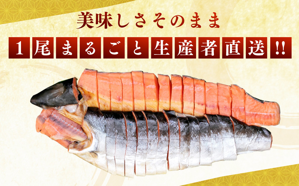 C4008 塩引鮭 一尾（切身）