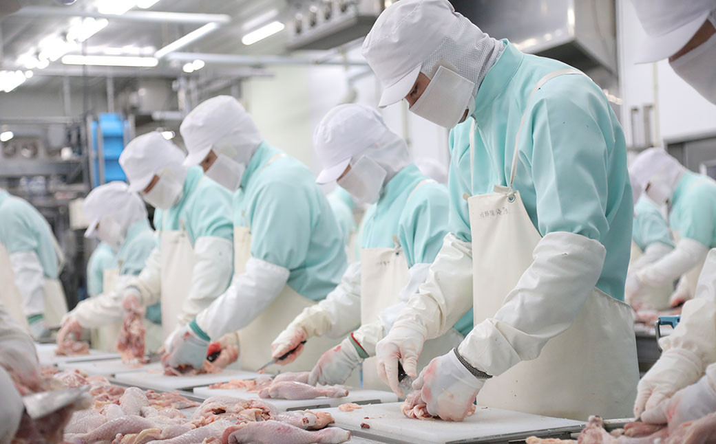 あべどり チキンパーティー 5点 セット