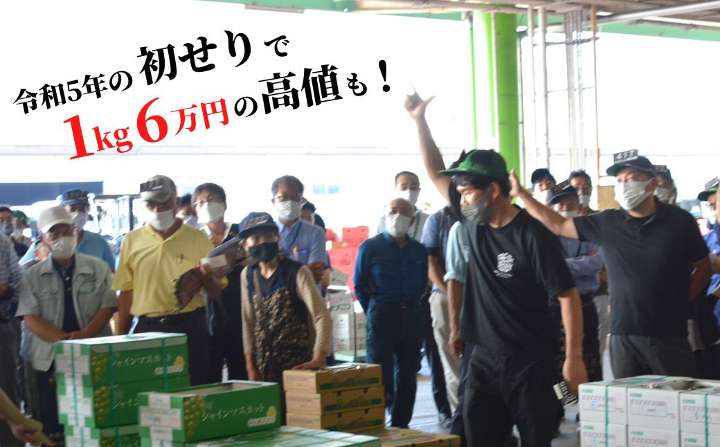 【数量限定】シャインマスカット 1kg 2房