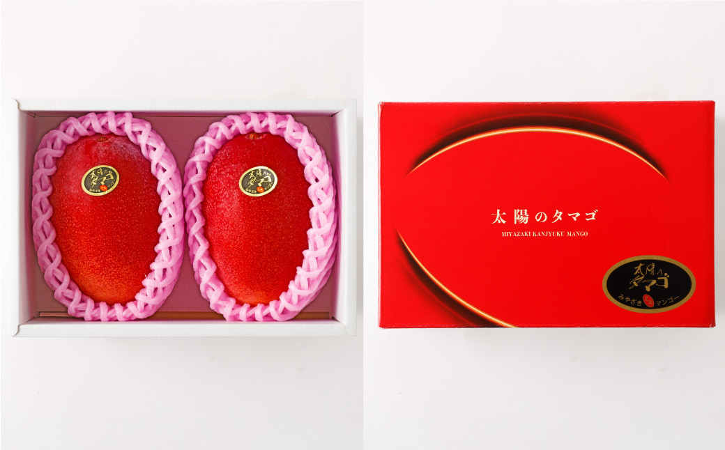 ＜宮崎県 完熟マンゴー 太陽のタマゴ 4L×2玉(合計 約1kg)＞