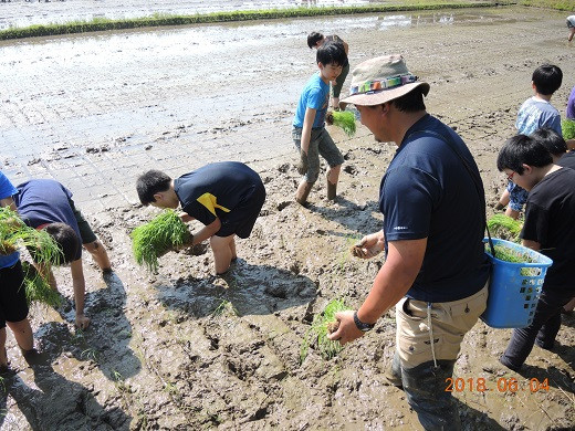 地域の子ども達との田植え体験の様子です。