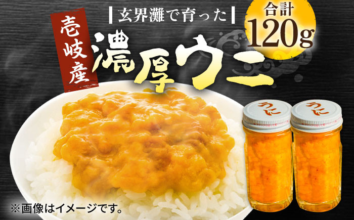 人気   うに ウニ 雲丹  新鮮 海鮮  贈り物 魚介 ごはんのお供 朝食 昼