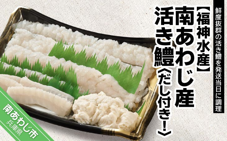 南あわじ産 活き鱧　だし付きでお届け！