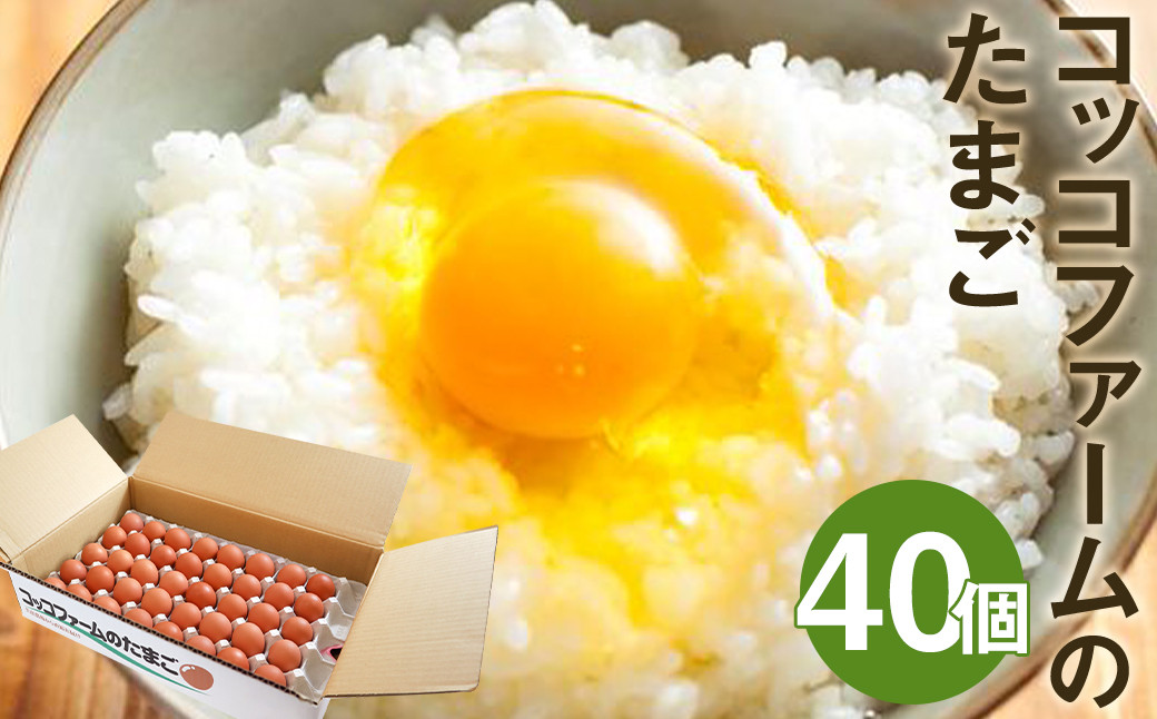 コッコファームのたまご 40個入