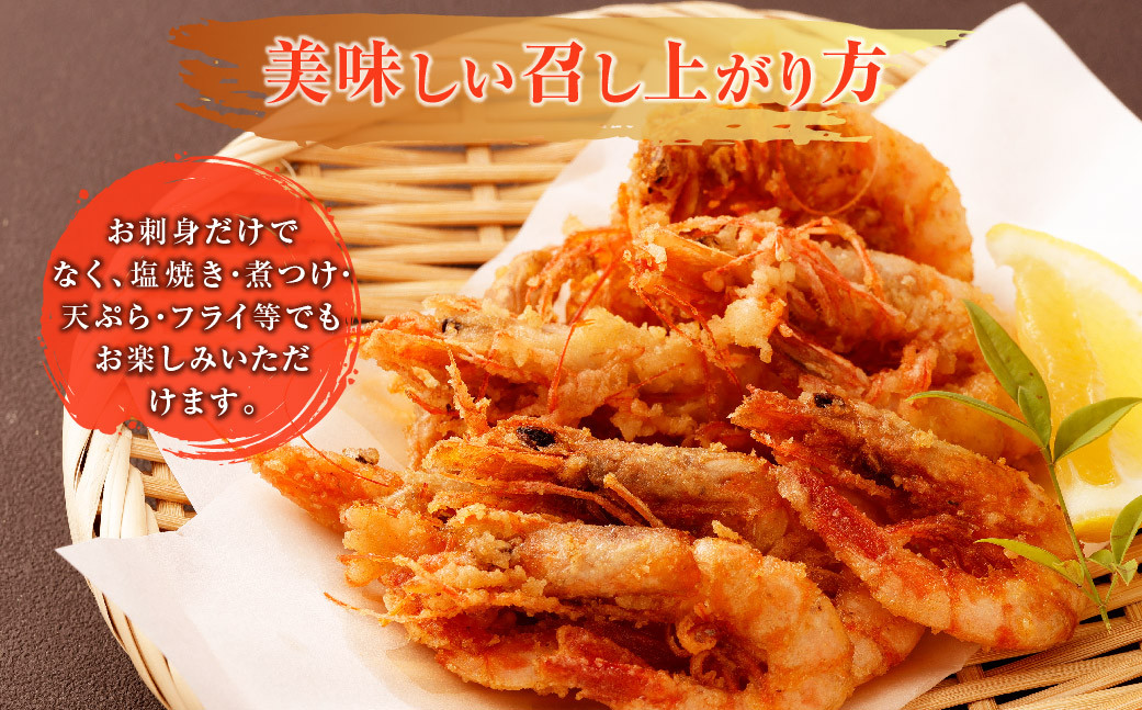 A-0192 甑島のタカエビ(薩摩甘えび)30尾(15尾×2パック)