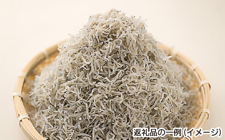 【定期便】淡路島の海産物6回コース（1年間隔月お届け）