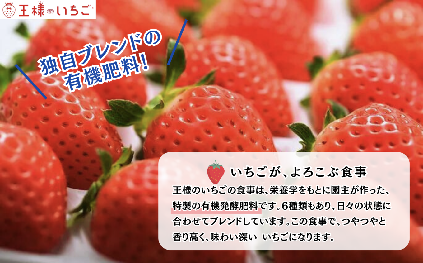 画像はイメージです。実際のお届けはこおりいちご(冷凍いちご)1kg。