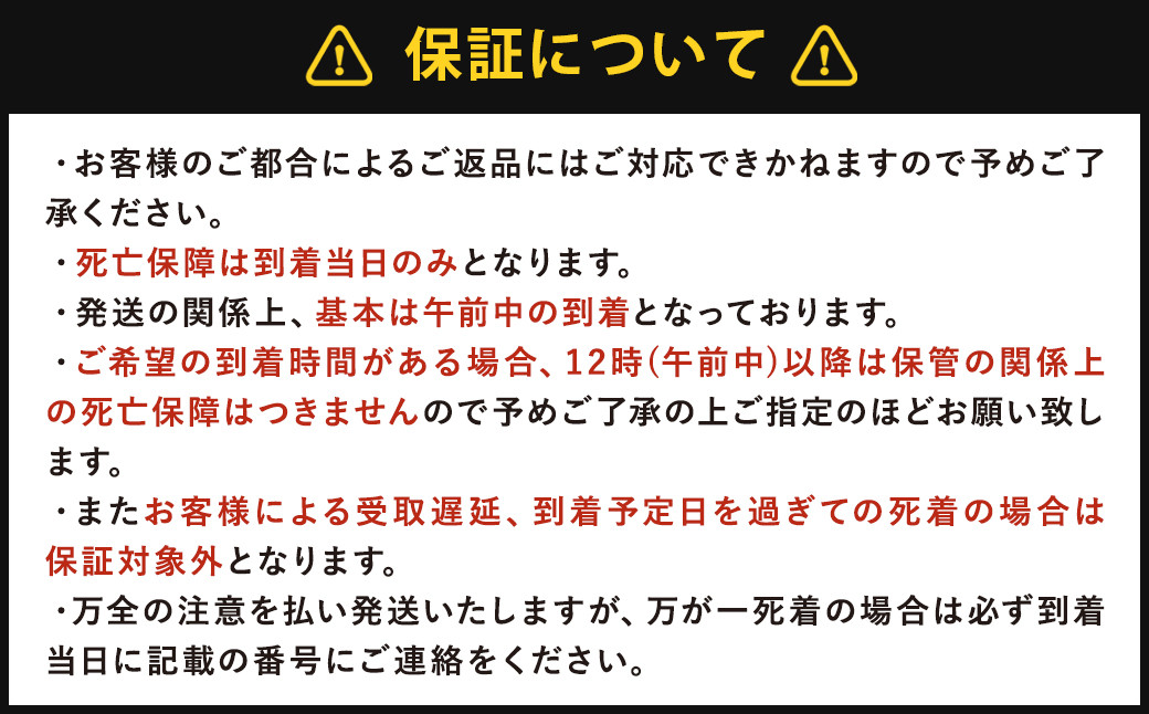 国産 オオクワガタ オス・メス ペア 70mmUP
