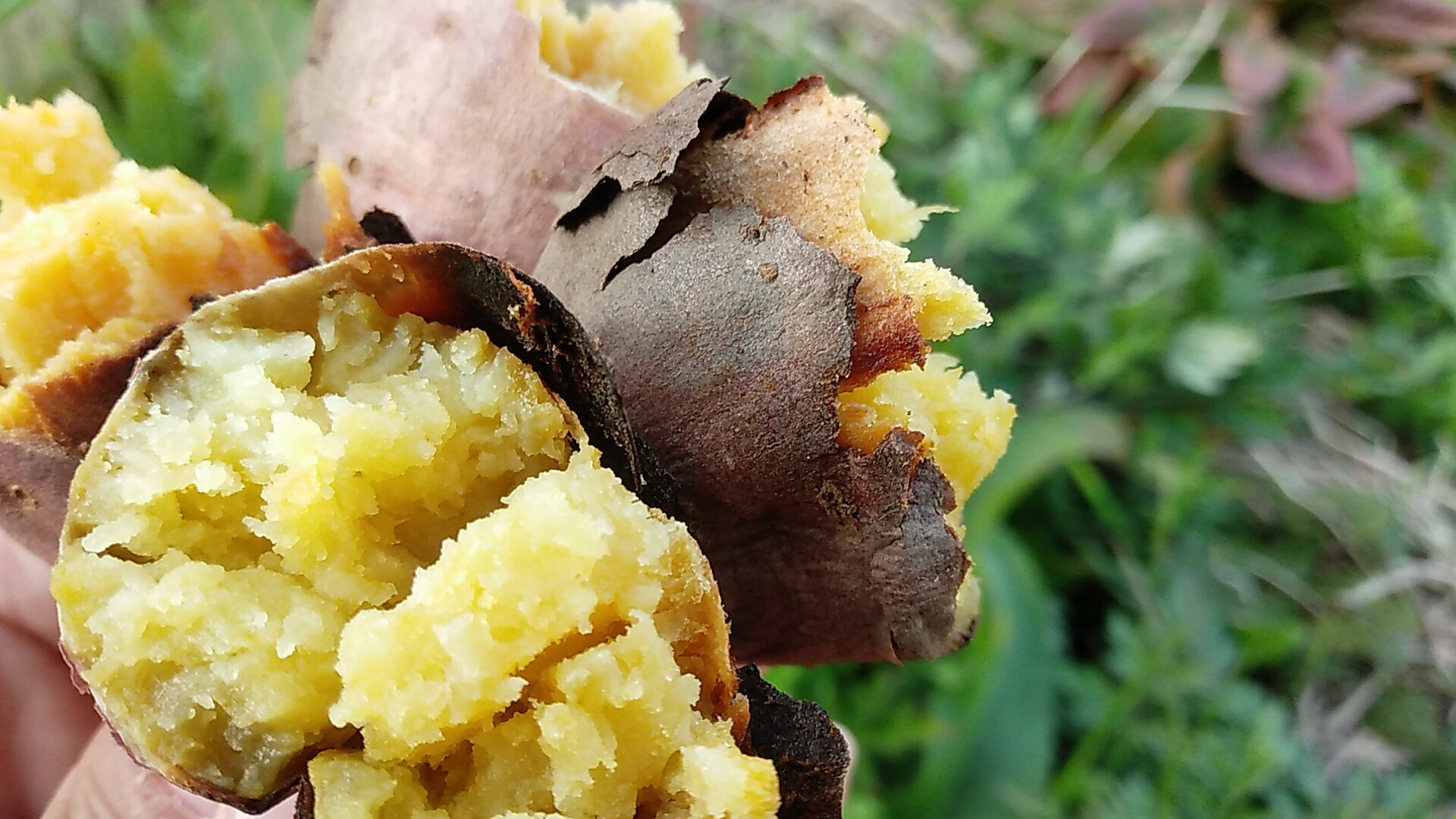 ※画像はイメージです。