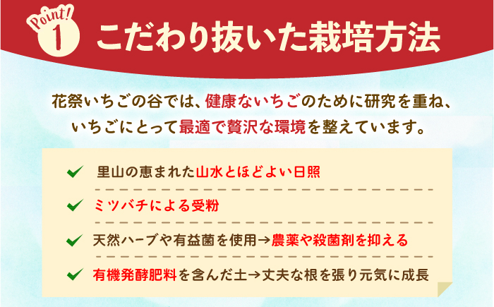 【先行予約】【五感で楽しむ】いちご狩り体験 チケット 4枚【花祭いちごの谷】 [HBN005]