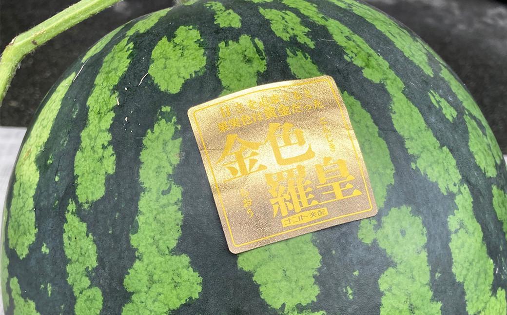 熊本県産 金色羅皇 ( 高級 西瓜 ) 約5kg