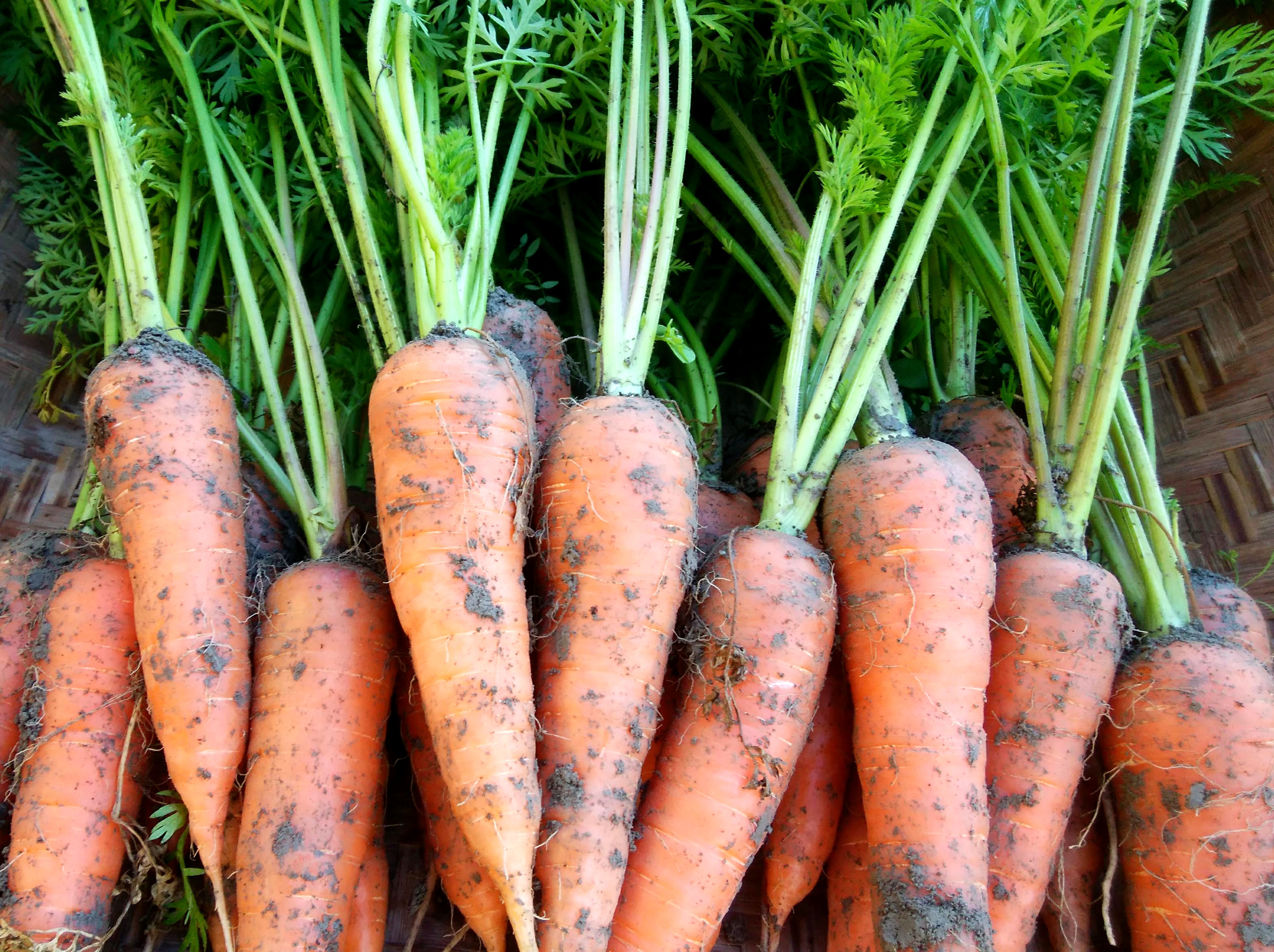 ※画像はイメージです。