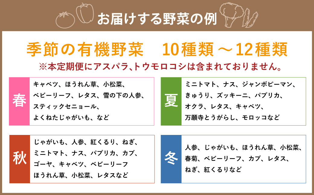 【有機JAS認定】【10ヶ月定期便】 季節の野菜詰め合わせ ~有機野菜セットA~