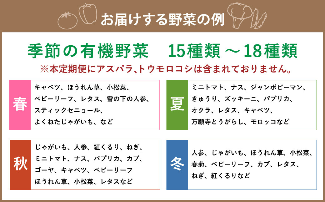 【有機JAS認定】【7ヶ月定期便】 季節の野菜詰め合わせ ~有機野菜セットB~