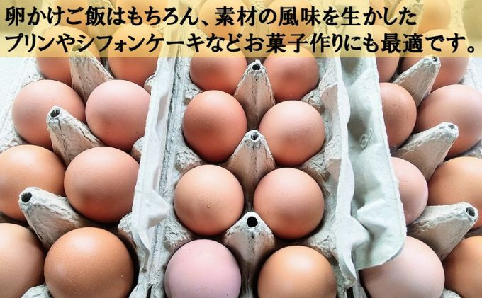 南房総の自然の中で元気に育った鶏たちの有精卵です。自然な黄味の色と味をお楽しみください。