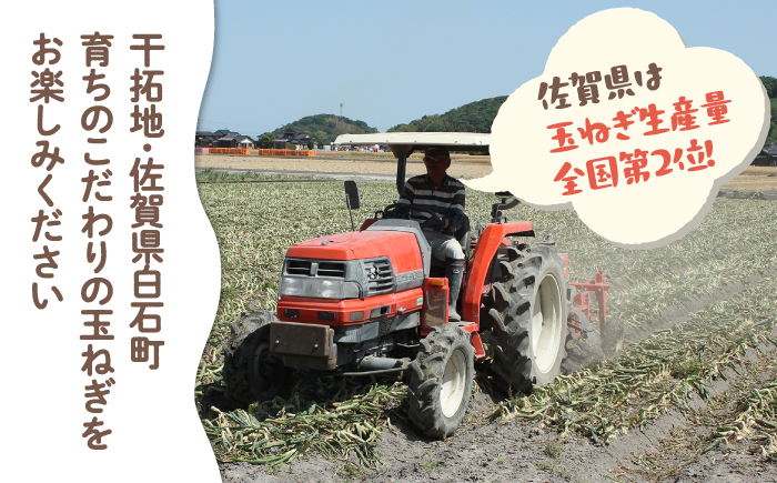 佐賀県白石町よりこだわりの玉ねぎをお届け！