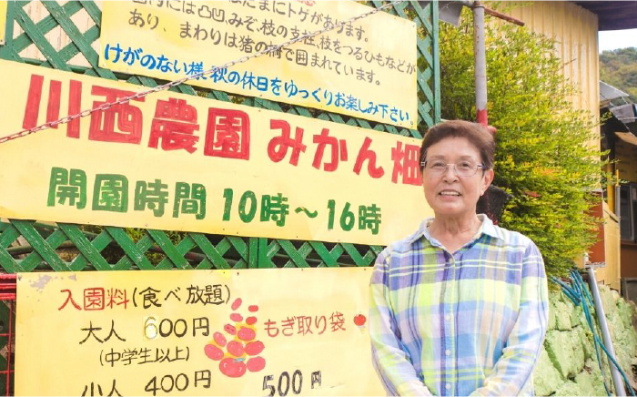  みかん ミカン mikan 蜜柑 果物 くだもの フルーツ 柑橘 かんきつ 小玉 濃厚 甘い 甘味 ギフト 人気 先行予約