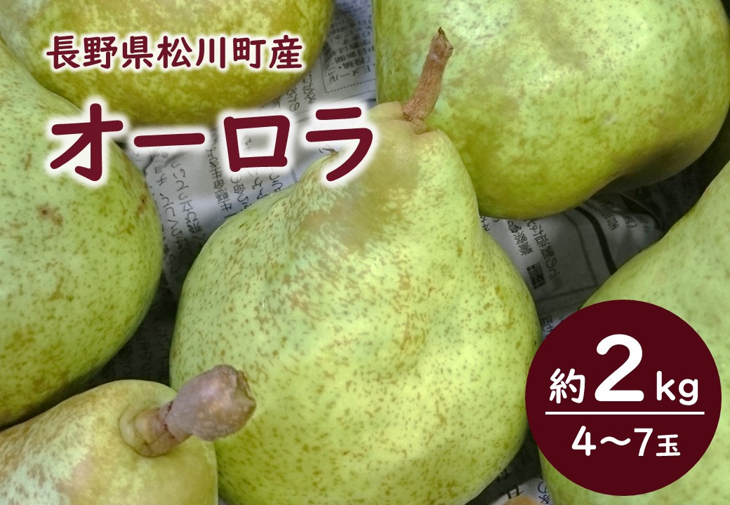 ＼  松川町産の美味しい果実をお届け  /