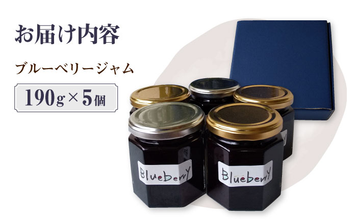 ブルーベリー ジャム 190g×5個 青空農園