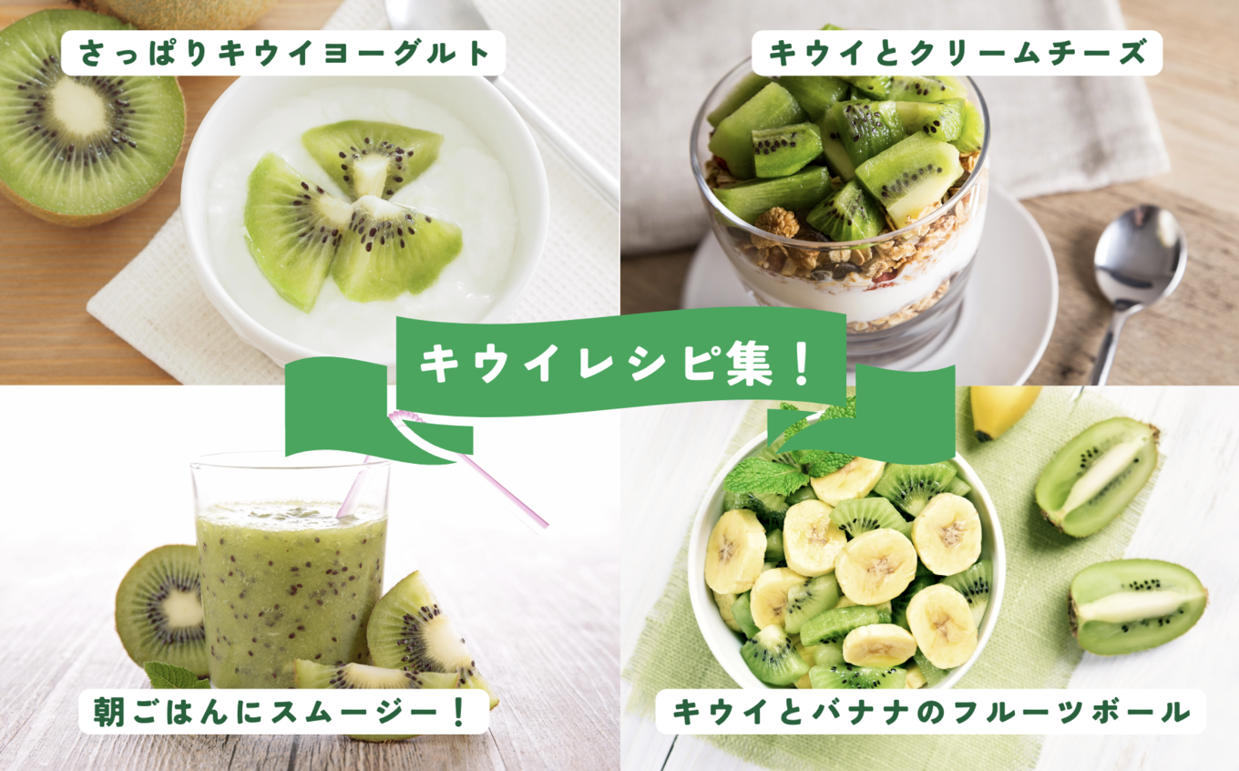 画像はイメージです。返礼品以外のものは含まれません。