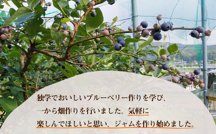 ブルーベリー ジャム 190g×5個 青空農園