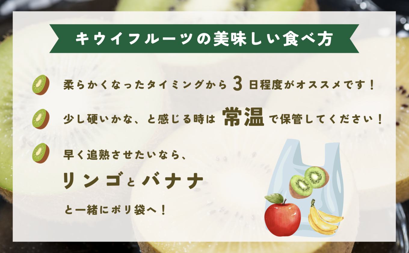 【2024年11月頃発送予定】の先行予約のお品です。