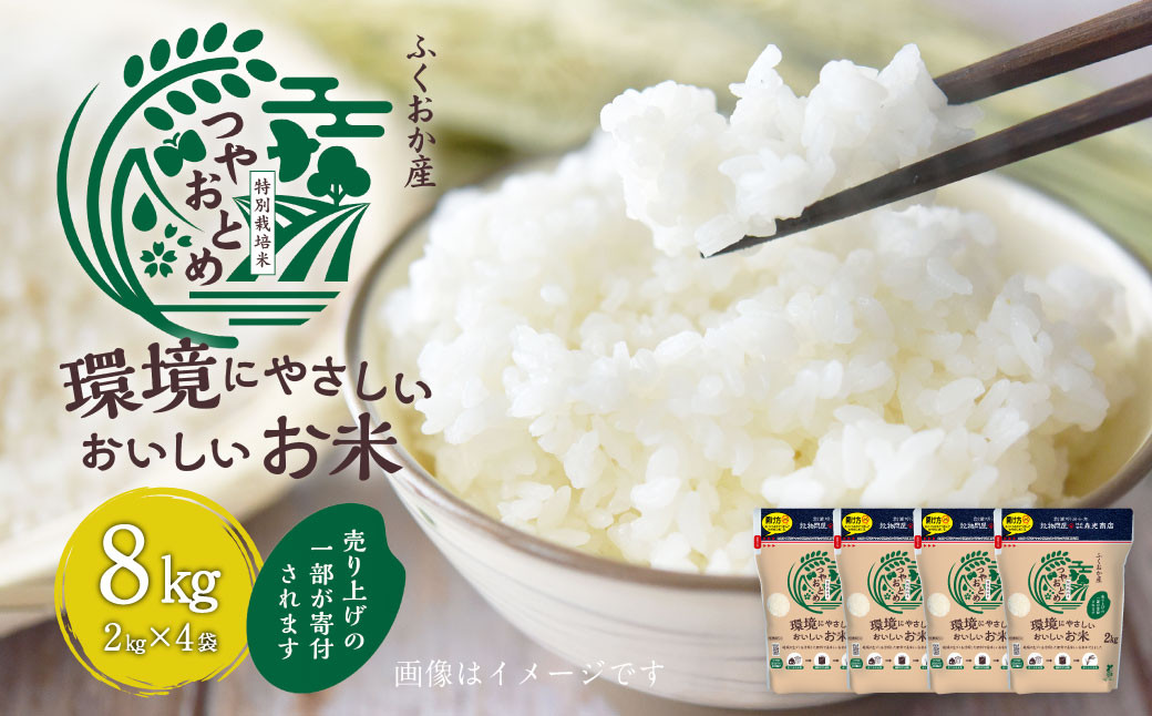 【令和7年産】 環境にやさしいおいしいお米 2kg×4袋 合計8kg