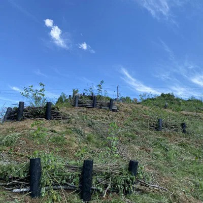 里山再生！　三春VIVOに苗木10本　【07521-0051】